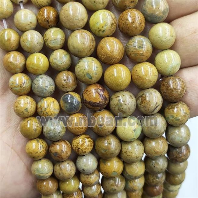 Imperial Jasper Beads Khaki Smooth Round