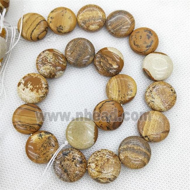 Natural Picture Jasper Circle Beads