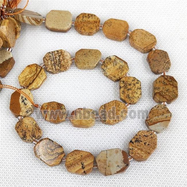 Natural Picture Jasper Rectangle Beads Khaki