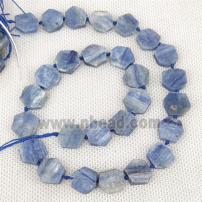 Natural Blue Kyanite Hexagon Beads