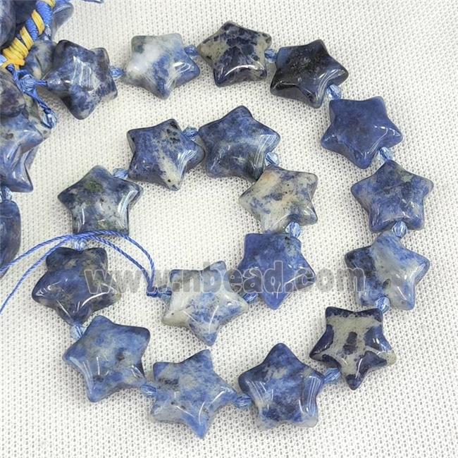 Natural Blue Sodalite Star Beads