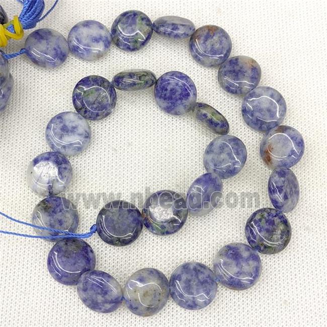 Natural Blue Dalmatian Jasper Coin Beads