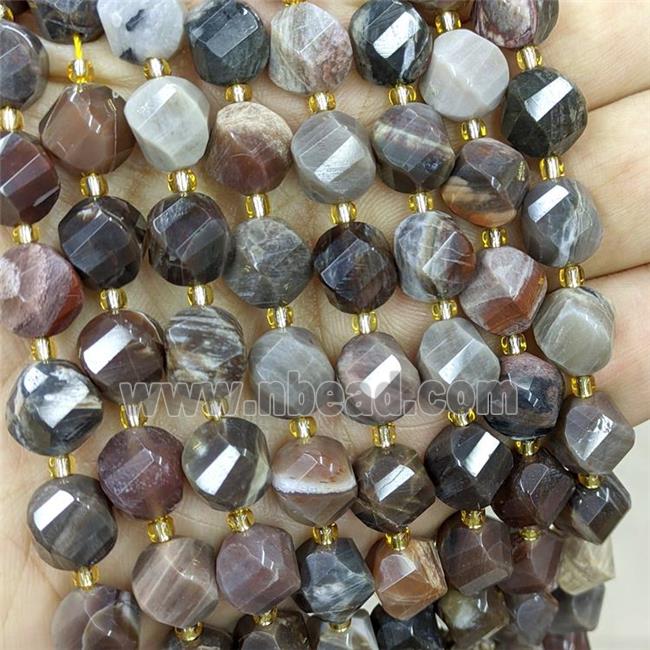 Natural Wood Petrified Jasper Twist Beads S-Shape Faceted