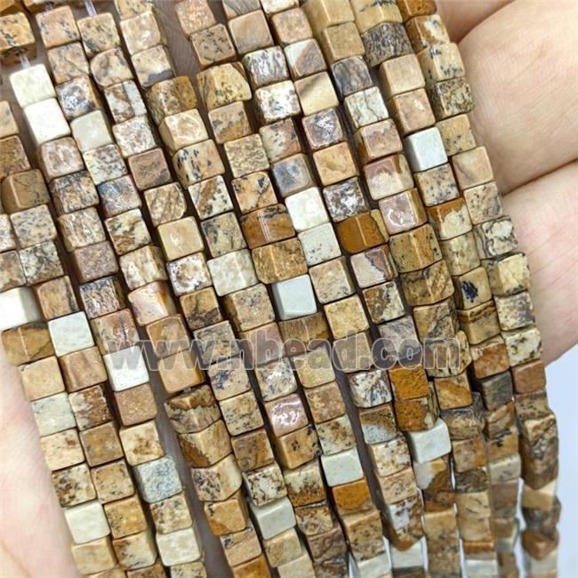 Natural Picture Jasper Cube Beads