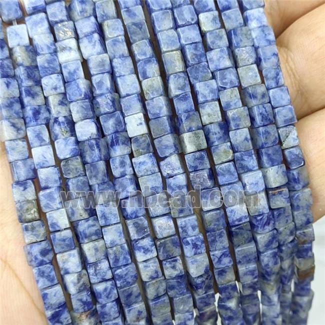 Natural Blue Dalmatian Jasper Cube Beads