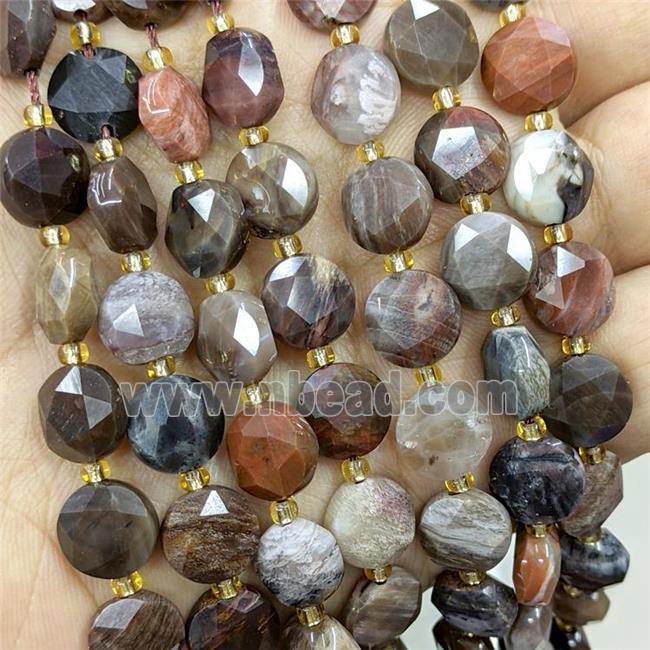 Natural Wood Petrified Jasper Beads Multicolor Faceted Coin