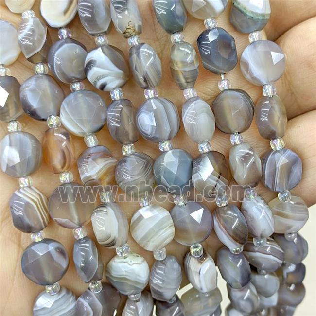 Natural Botswana Agate Beads Faceted Coin