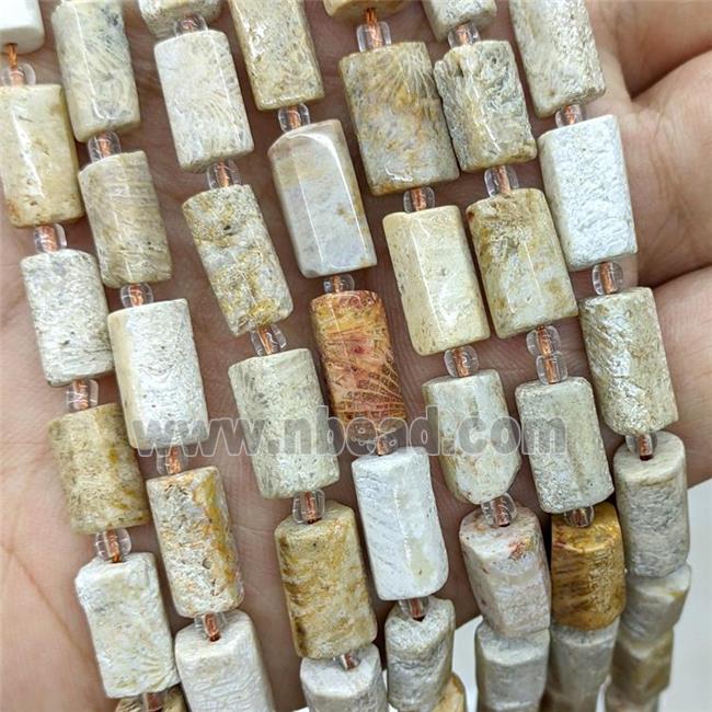 Natural Coral Fossil Tube Beads Tube