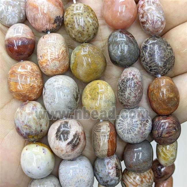 Natural Coral Fossil Nugget Beads Freeform Multicolor