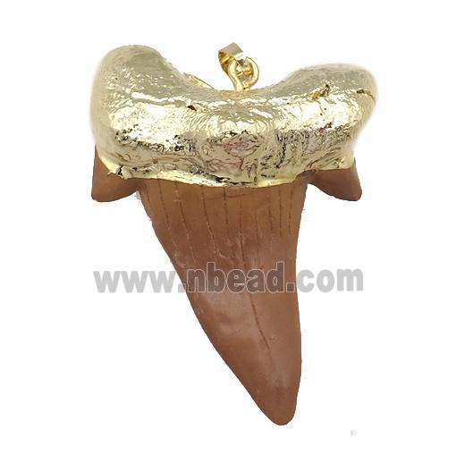 resin pendant, sharktooth, gold plated