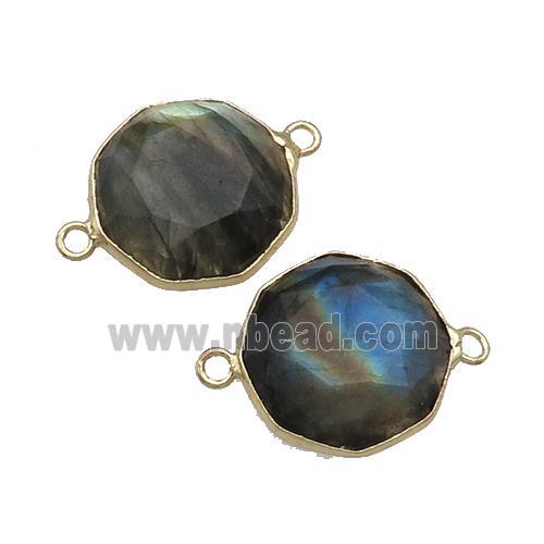 Labradorite Connector Polygon Gold Plated