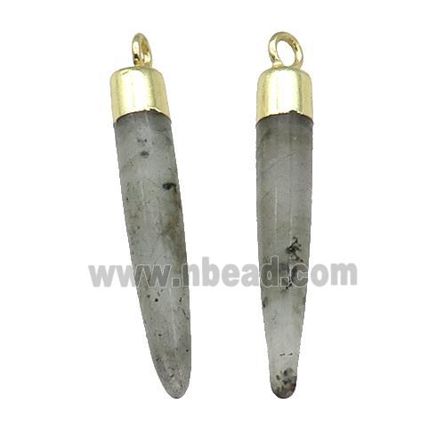 Labradorite Bullet Pendant Gold Plated