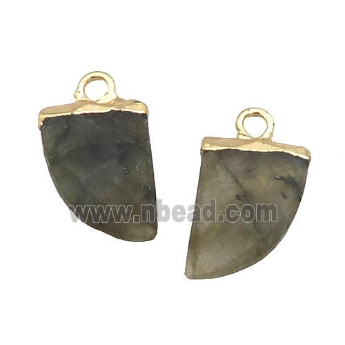 Natural Labradorite Pendant Horn Gold Plated