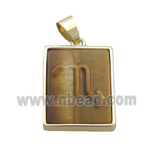 Natural Tiger Eye Stone Pendant Zodiac Scorpio Rectangle Gold Plated