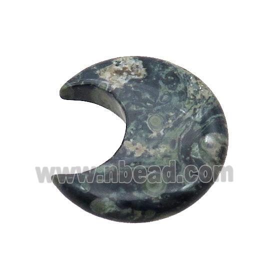 Kambaba Jasper Moon Pendant Undrilled