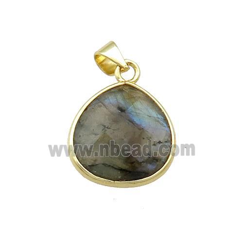 Natural Labradorite Teardrop Pendant Gold Plated