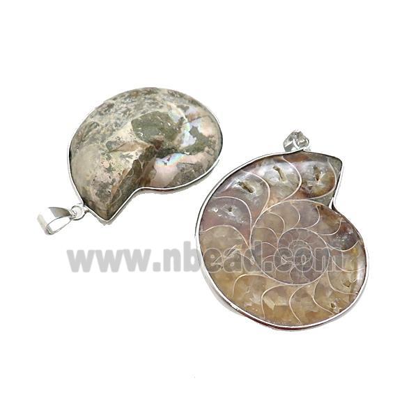 Natural Ammonite Fossil Pendant