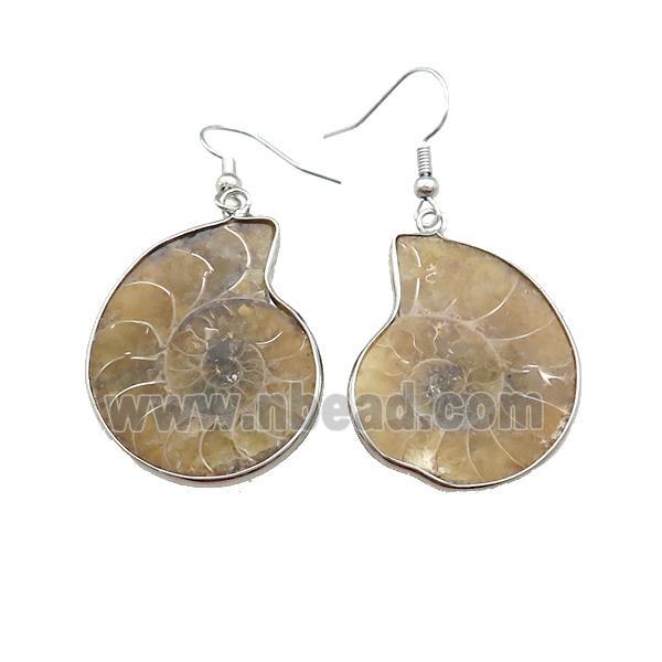 Natural Ammonite Fossil Hook Earrings