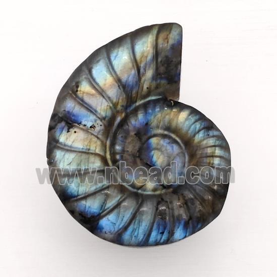 Natural Labradorite Conch Shell Charms Pendant Nautilus