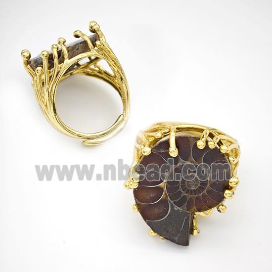 Copper Ring Pave Ammonite Fossil Adjustable Gold Plated