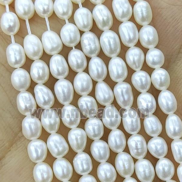 white Freshwater Pearl rice Beads