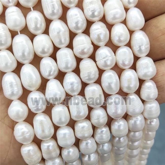 White Pearl Rice Beads