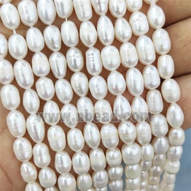 White Pearl Rice Beads