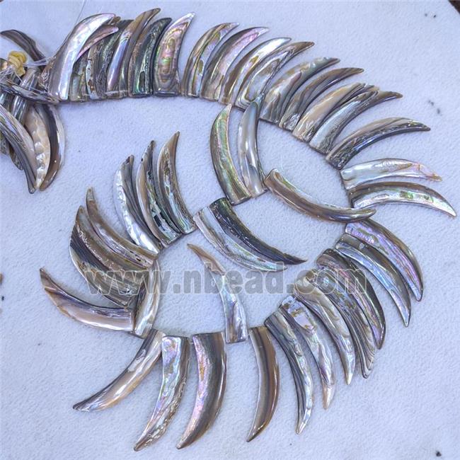 Abalone Shell Horn Beads Topdrilled