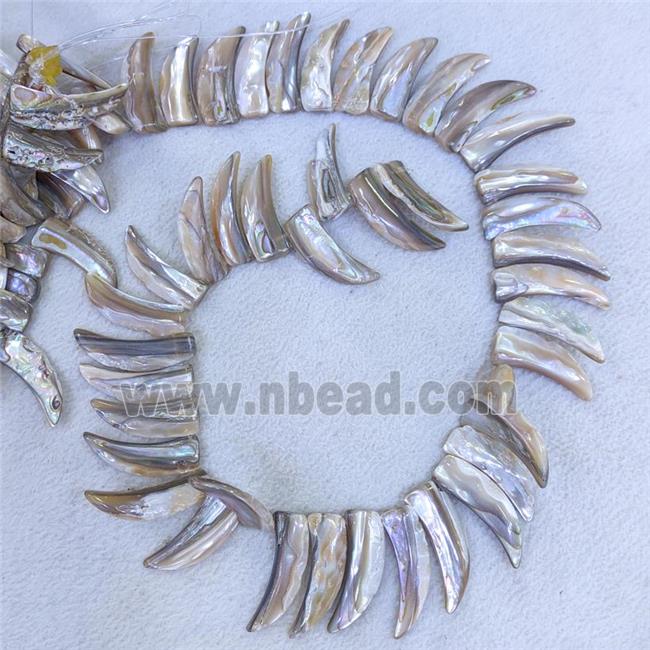 Abalone Shell Horn Beads Topdrilled