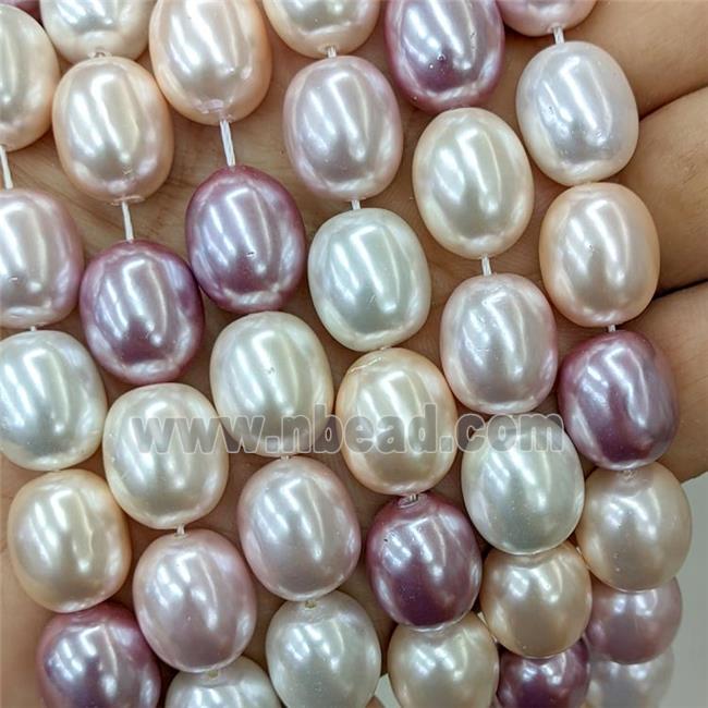 Baroque Style Pearlized Shell Beads Barrel Mixed Color