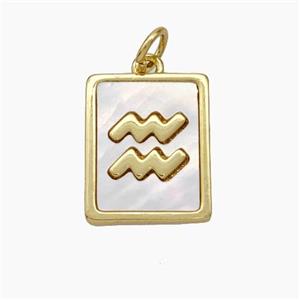 Copper Rectangle Pendant Pave Shell Zodiac Aquarius 18K Gold Plated, approx 12-15mm