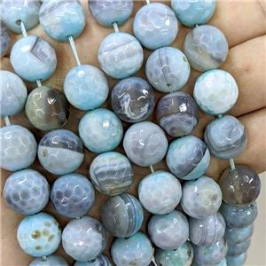 Fire Agate Beads Grayblue Faceted Round, approx 14mm