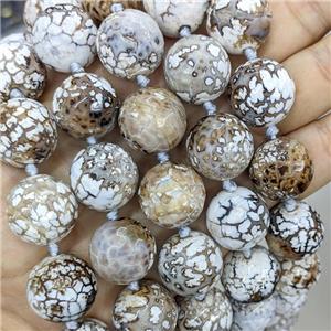 Natural Agate Beads Dye Faceted Round, approx 20mm