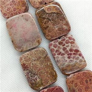 Natural Coral Fossil Beads Rectangle, approx 30-40mm