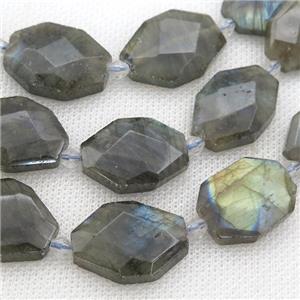 Labradorite Beads, faceted rectangle, approx 15-22mm