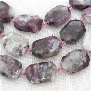 plum blossom Tourmaline Beads, faceted rectangle, approx 15-22mm