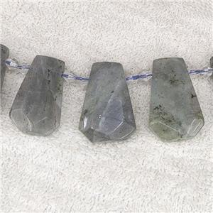 Labradorite teardrop beads, top-drilled, approx 12-27mm