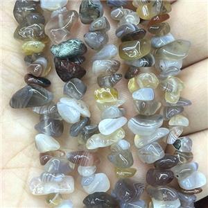 Botswana Agate Beads Chip Freeform, approx 5-8mm, 32inch length