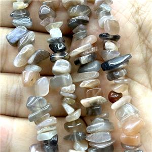 Multicolor Moonstone Chip Beads Freeform, approx 5-8mm, 32inch length