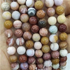 Natural Wood Petrified Jasper Beads Multicolor Smooth Round, approx 10mm dia