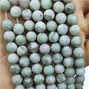 Peace Jasper Beads Green Smooth Round, approx 12mm dia