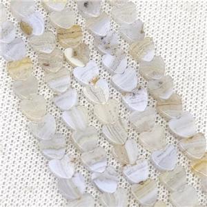 Natural Blue Lace Agate Heart Beads, approx 6mm