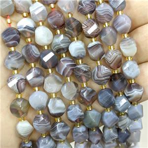 Natural Botswana Agate Twist Beads S-Shape Faceted Gray, approx 9-10mm