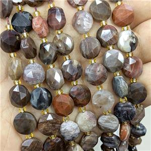 Natural Wood Petrified Jasper Beads Multicolor Faceted Coin, approx 10mm