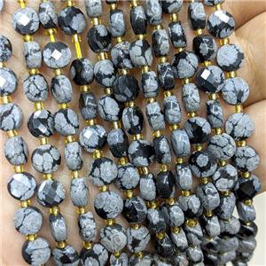 Natural Black Snowflake Jasper Beads Faceted Coin, approx 6mm