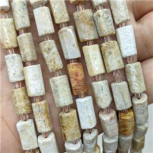 Natural Coral Fossil Tube Beads Tube, approx 7-14mm