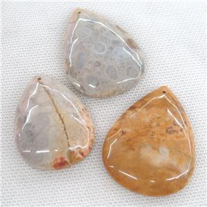 Coral Fossil teardrop pendant, Petoskey, approx 25-50mm