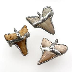 sharktooth pendant, approx 30-40mm