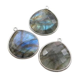 Natural Labradorite Teardrop Pendant Platinum Plated, approx 25mm