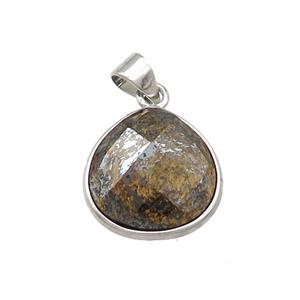 Natural Bronzite Teardrop Pendant Platinum Plated, approx 15mm